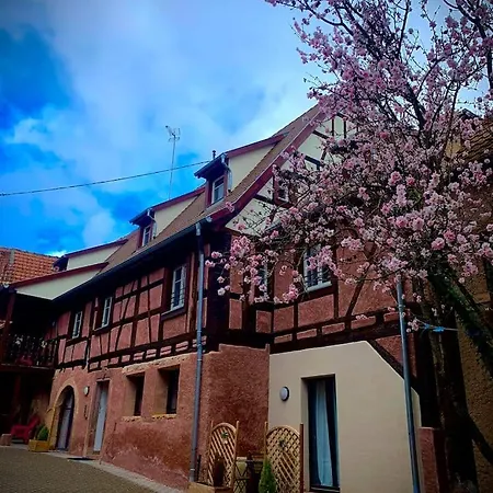 Soleil Du Matin Et Parking Gratuit アパート *