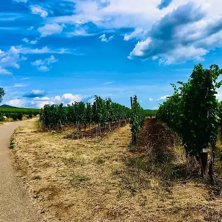 Soleil Du Matin Et Parking Gratuit